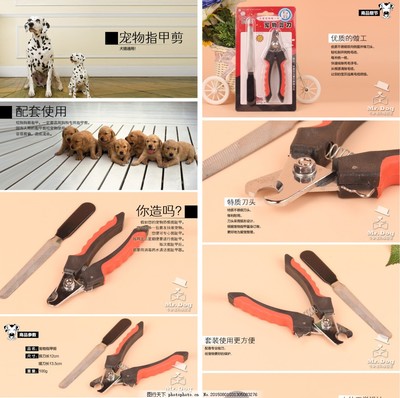 專業(yè)寵物指甲剪 為您的愛寵提供安全舒適的修剪體驗