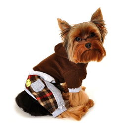 狗狗冬裝棉衣 貝寵寵物用品優(yōu)質(zhì)商家指南