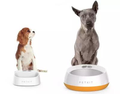 小佩寵物獲億元融資，聚焦“品類+海外+線下”打造寵物生活新生態(tài)