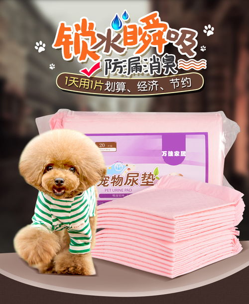 狗狗尿墊選擇指南 從泰迪到全犬種，如何挑選優(yōu)質(zhì)寵物隔尿用品