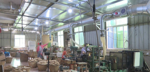 泉港 上門服務(wù)精準(zhǔn)賦能，助力寵物用品外貿(mào)企業(yè)穩(wěn)健增長